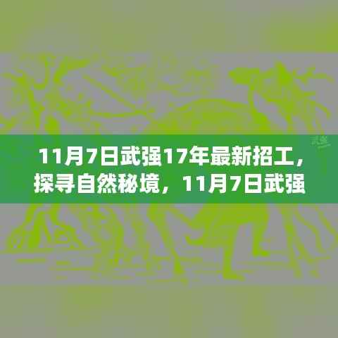 探寻自然秘境，武强县最新招工之旅启程心灵之旅的奇妙探险