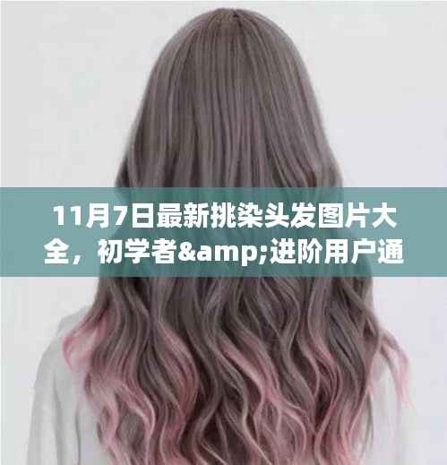 11月7日最新挑染头发图片大全,初学者与进阶用户通用,轻松掌握染发技巧