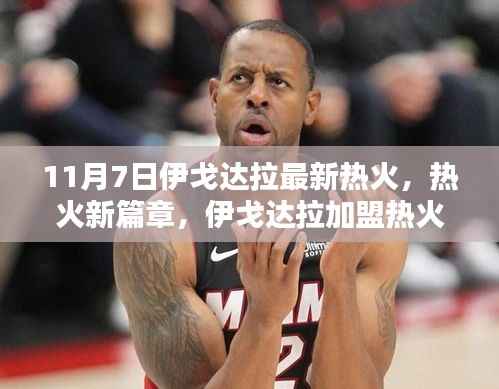 伊戈达拉加盟热火指南,11月7日新篇章,详细步骤适用于初学者与进阶用户