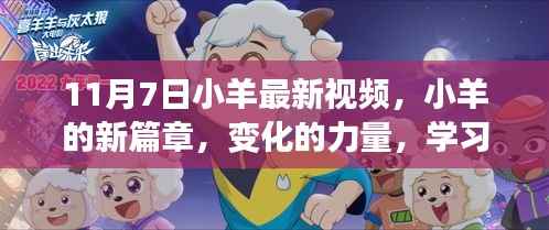 小羊新篇章启示录,变化的力量与学习的魅力——11月7日视频解析