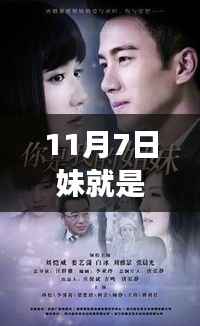 11月7日妹就是你,新歌背后的故事与深远影响揭秘