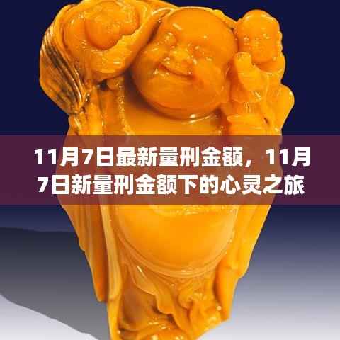 11月7日新量刑金额下的心灵与自然美景之旅,深度解读与体验
