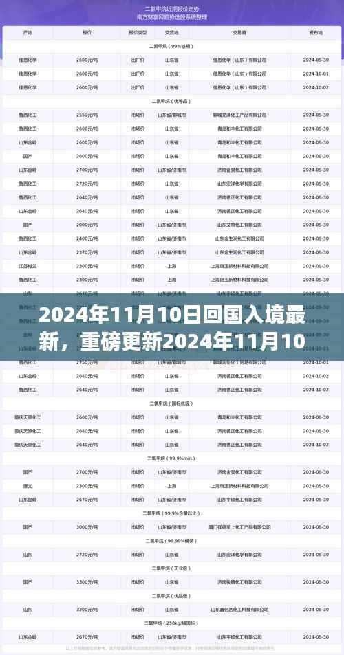 重磅更新!2024年11月10日回国入境最新政策解读,全面知晓入境须知