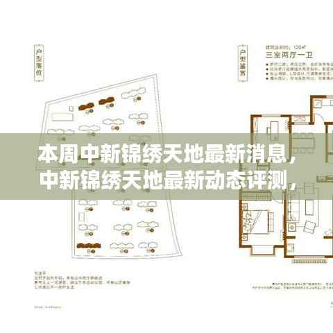 中新锦绣天地最新动态揭秘,特性、体验、竞品对比及用户群体深度分析