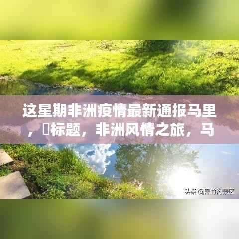 对答如流 第5页
