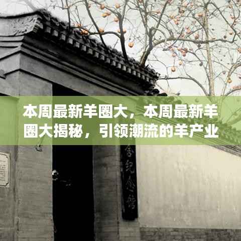 引领潮流的羊产业创新与发展,本周最新羊圈大揭秘