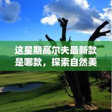 高尔夫新款引领自然美景之旅,探索内心平静之道