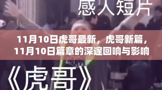 11月10日虎哥新篇章,回响与影响的深邃探索