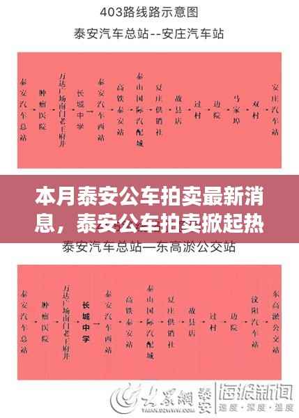泰安公车拍卖掀起热潮,本月最新动态与深远影响