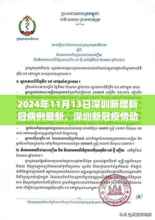 2024年11月13日深圳新冠疫情动态,最新病例增长与防控进展