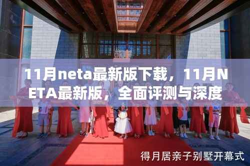 11月NETA最新版下载,全面评测与深度介绍