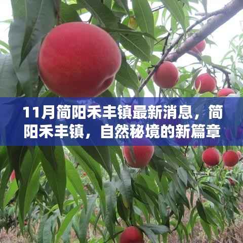 简阳禾丰镇新动态,自然秘境探索之旅,启程寻找内心桃花源