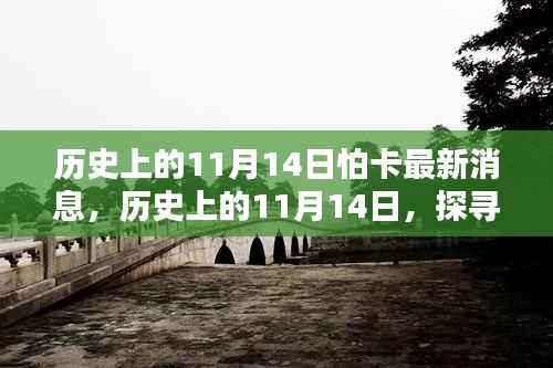 探寻怕卡最新消息，历史上的11月14日揭秘真相的神秘面纱