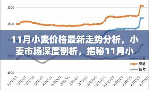 揭秘11月小麦价格走势，市场深度分析与最新动态报告