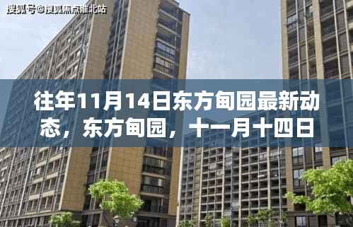 往年11月14日东方甸园最新动态揭秘,温馨日常的点滴记录
