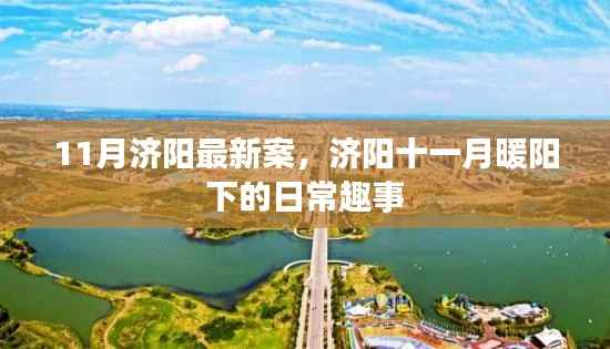 济阳十一月暖阳下的日常趣事揭秘