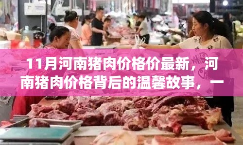 河南猪肉情缘,价格背后的友情故事与最新市场动态