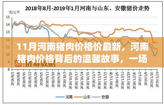 河南猪肉情缘,价格背后的友情故事与最新市场动态