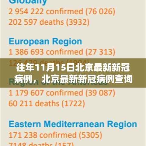 北京往年11月15日新冠病例数据解析与查询指南,共同守护你我他的健康防线