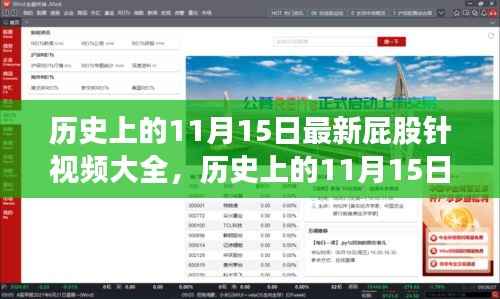 历史上的11月15日,屁股针视频的时代印记与最新集锦全呈现