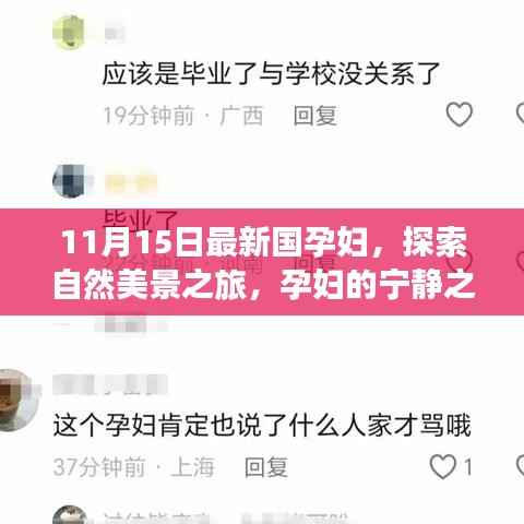 11月15日孕妇自然探索之旅,宁静之美与心灵觉醒的拥抱