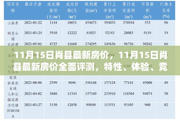 11月15日肖县最新房价全面解析,特性、体验、竞品对比及用户群体深度分析