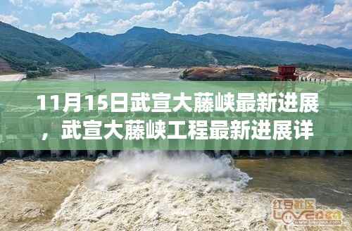 武宣大藤峡工程最新进展报告，11月15日更新及初学者技能指南