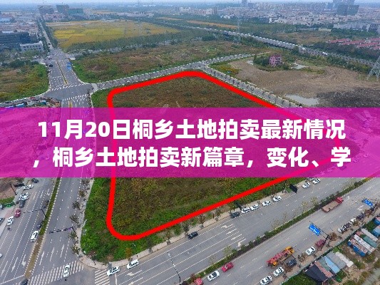 桐乡土地拍卖新篇章,11月20日最新动态与鼓舞之舟