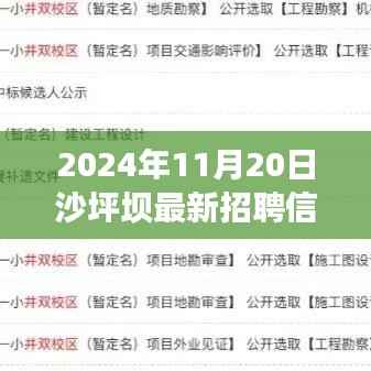 把握未来，从沙坪坝招聘启航，最新招聘信息，新机遇等你来挑战（2024年11月）