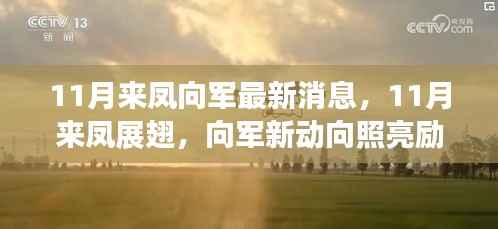 11月来凤向军新动态,展翅高飞,照亮励志之路