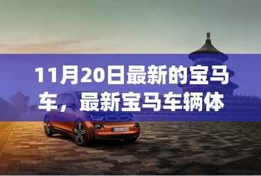 全方位掌握，最新宝马车辆体验指南——从选购到驾驶