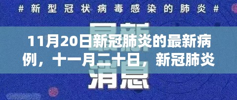 十一月二十日新冠肺炎病例新篇章,最新病例报告