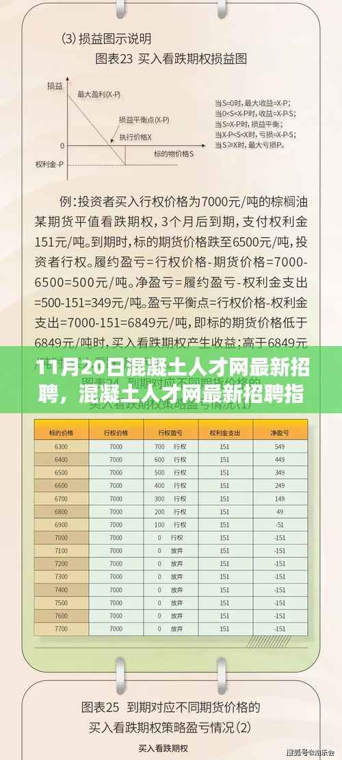 11月20日混凝土人才网最新招聘,混凝土人才网最新招聘指南,如何高效应聘混凝土行业职位