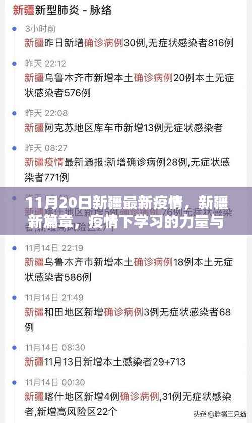新疆疫情下的学习力量与自我超越奇迹,最新篇章揭秘(11月20日更新)