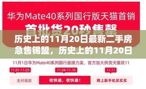 历史上的11月20日锡盟二手房市场急售现象解析