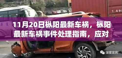 枞阳最新车祸事件处理指南,应对突发车祸,保护自身权益须知