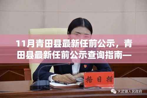 青田县最新任前公示详解，查询指南与流程步骤