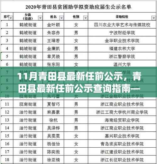 青田县最新任前公示详解,查询指南与流程步骤