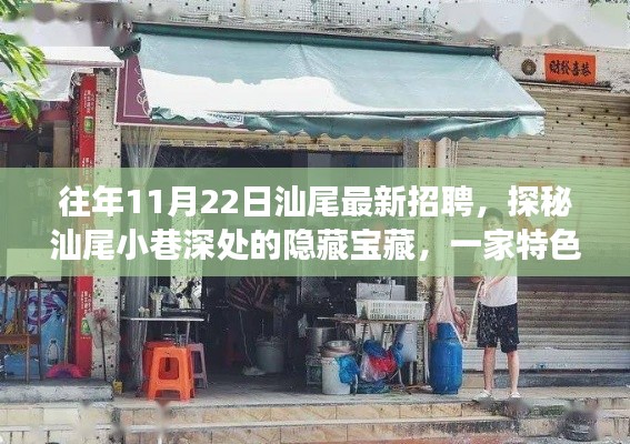 汕尾特色小店招聘探秘,小巷深处的隐藏宝藏之旅
