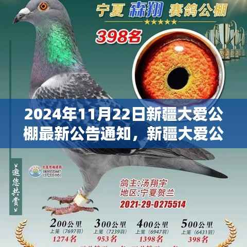 2024年11月22日新疆大爱公棚最新公告通知,新疆大爱公棚公告揭秘,小巷深处的独特风味小店,等你来探秘!