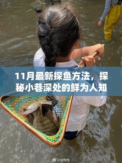 11月最新探鱼秘籍，揭秘小巷深处捕鱼秘境的鲜为人知体验指南