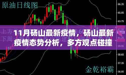 砀山最新疫情动态及多方观点碰撞与个人立场阐述