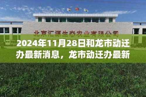 2024年11月28日和龙市动迁办最新消息,龙市动迁办最新消息揭秘,2024年11月28日的城市变迁回顾与展望