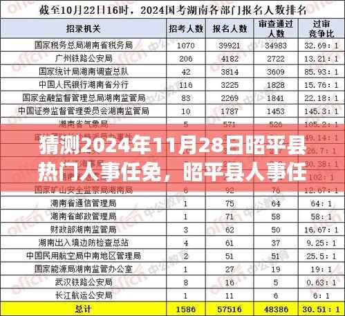 昭平县人事变动预测,2024年11月28日人事任免指南及变动趋势分析