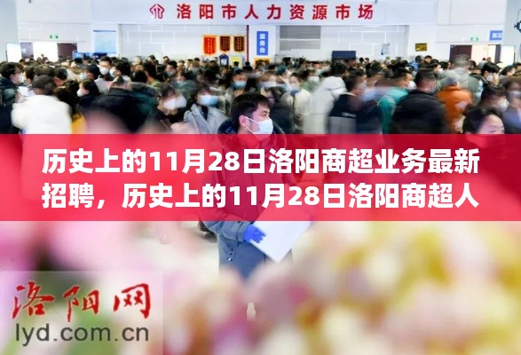 历史上的11月28日洛阳商超业务人才招聘,深层影响与观点分析