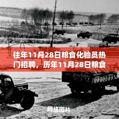 往年11月28日粮食化验员热门招聘,历年11月28日粮食化验员热门招聘背后的多维度探讨