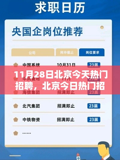 北京今日热门招聘大盘点,超火热职位挑战与小红书求职攻略热议