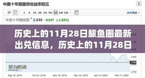 历史上的11月28日鲅鱼圈最新出兑信息,回顾背景、事件与深远影响
