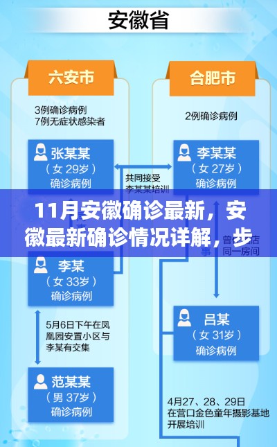 安徽最新确诊情况详解,步骤指南与注意事项(11月版)
