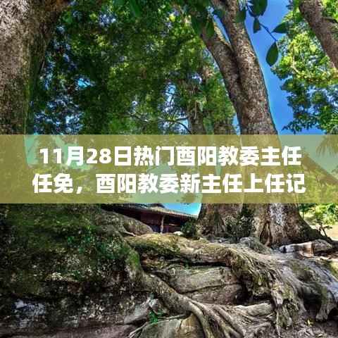 11月28日热门酉阳教委主任任免,酉阳教委新主任上任记,一场自然美景的探索之旅